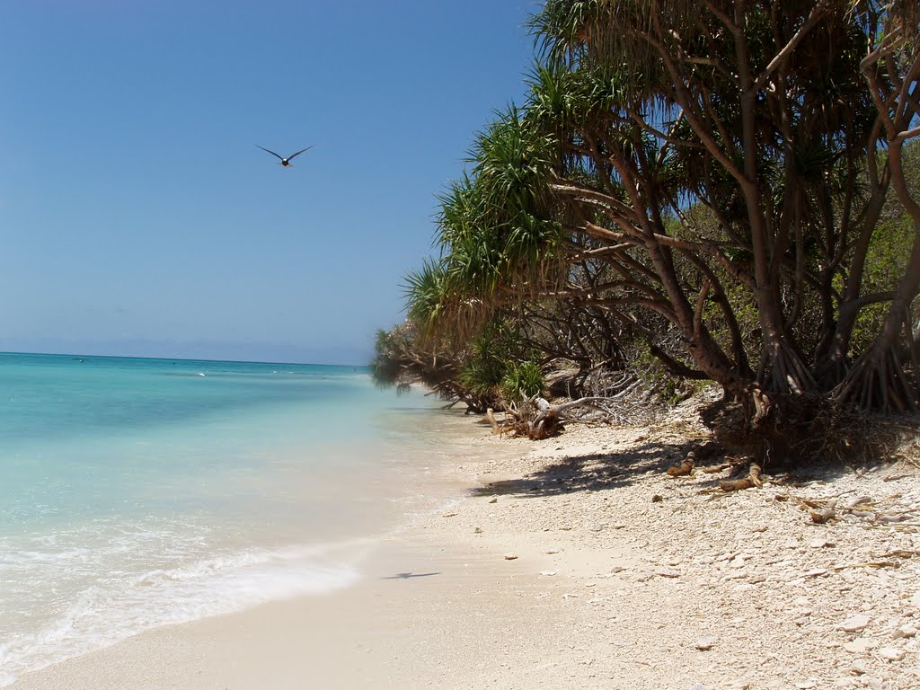 Lady Musgrave Island, Quennsland by Philippe Rapelli