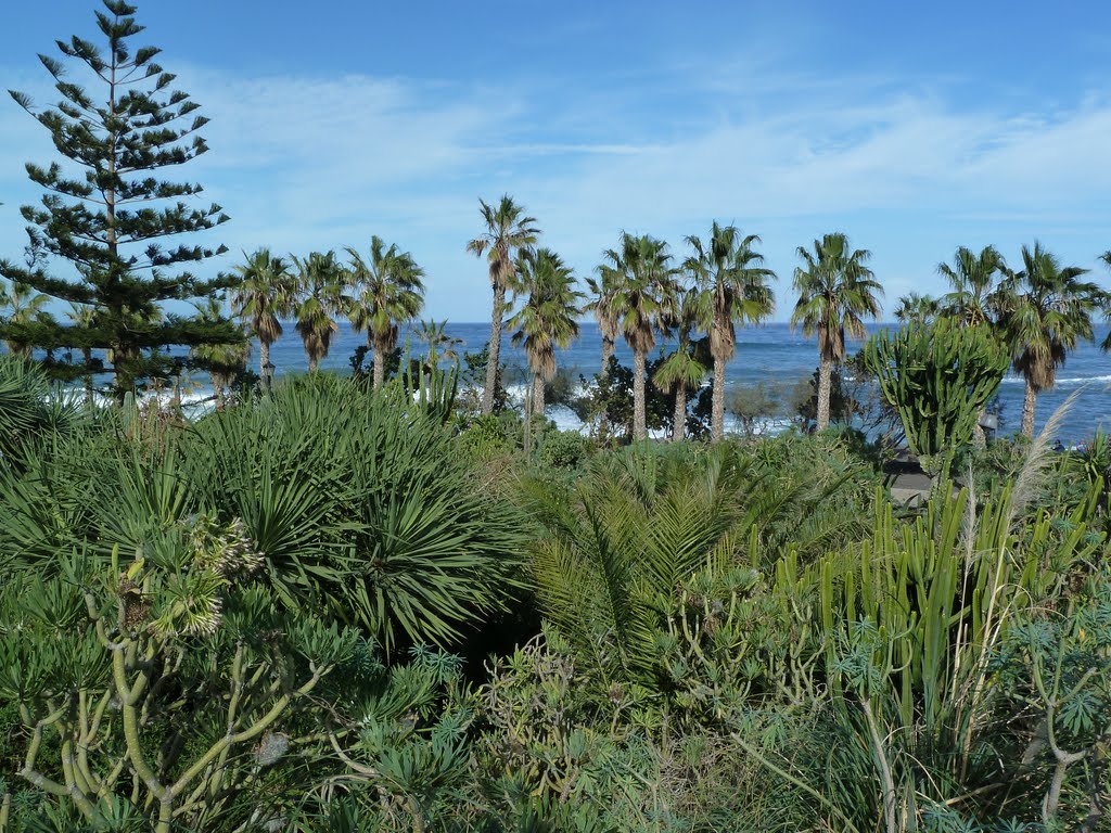 Playa Jardin by Pattensen