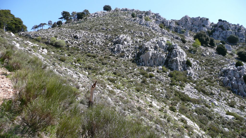 Col du Berceau m. 1090 e Cima Longoira m. 1151 by giancamonty 42