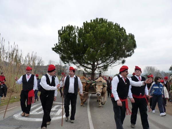 Festa del PI de Centelles by BTDivis