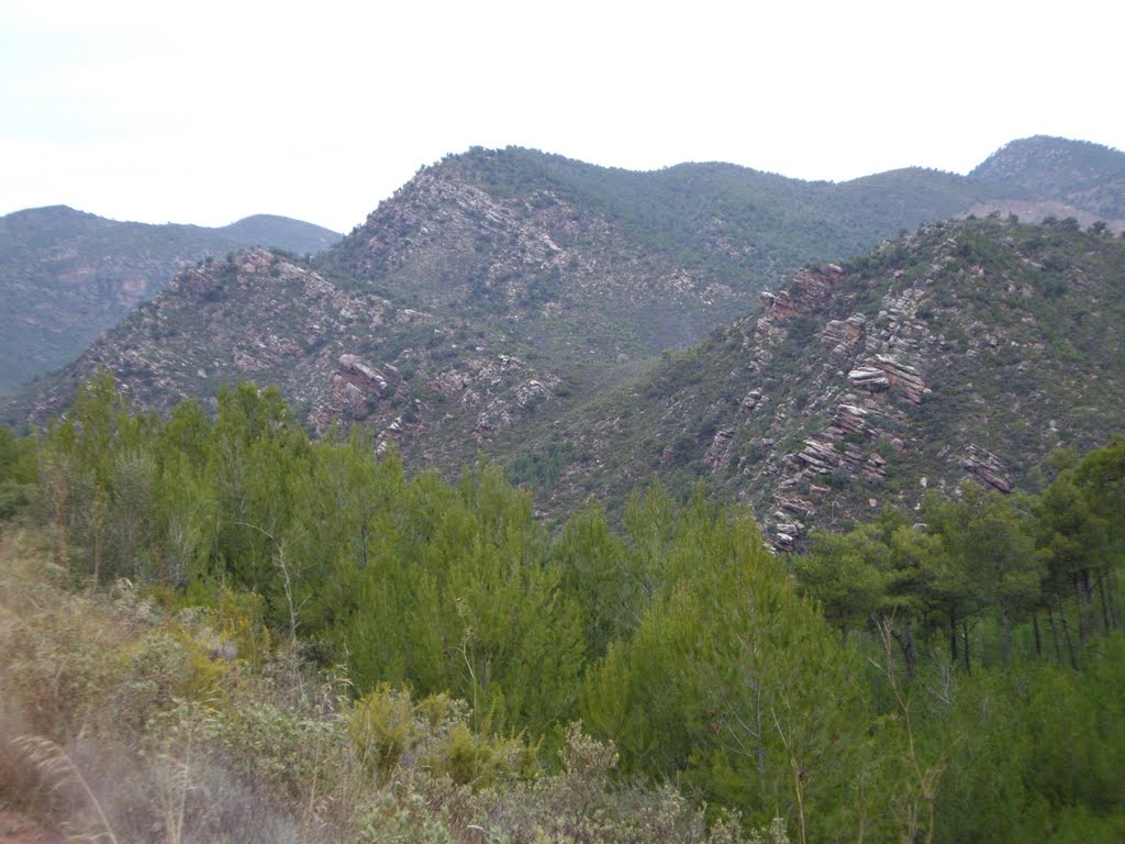 Coll de la Moreria by 40000pasos