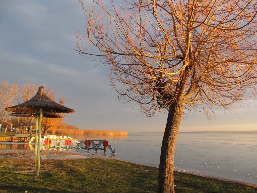 December a strandon * December on the beach by Forgácsné D Katalin