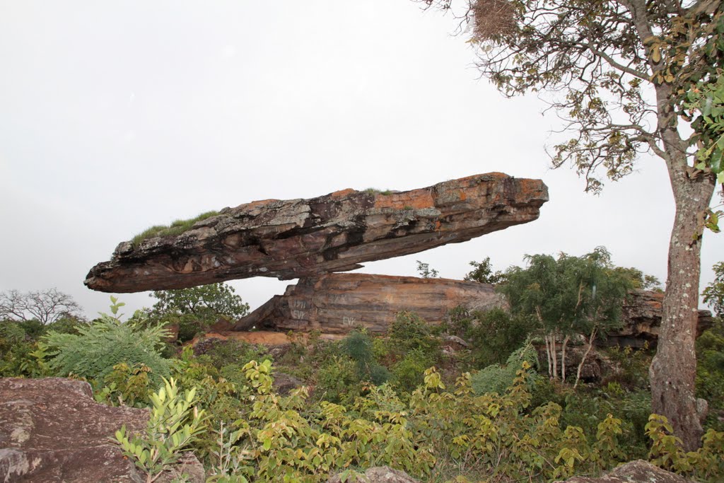 Pedra de Chapéu de Sol-fazenda Sucupira-Cristalina- GO by hiroshi omachi