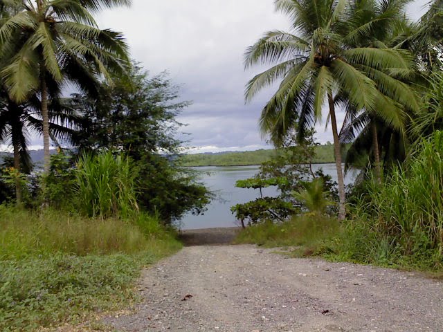 En Rincón de Osa by luissamudio