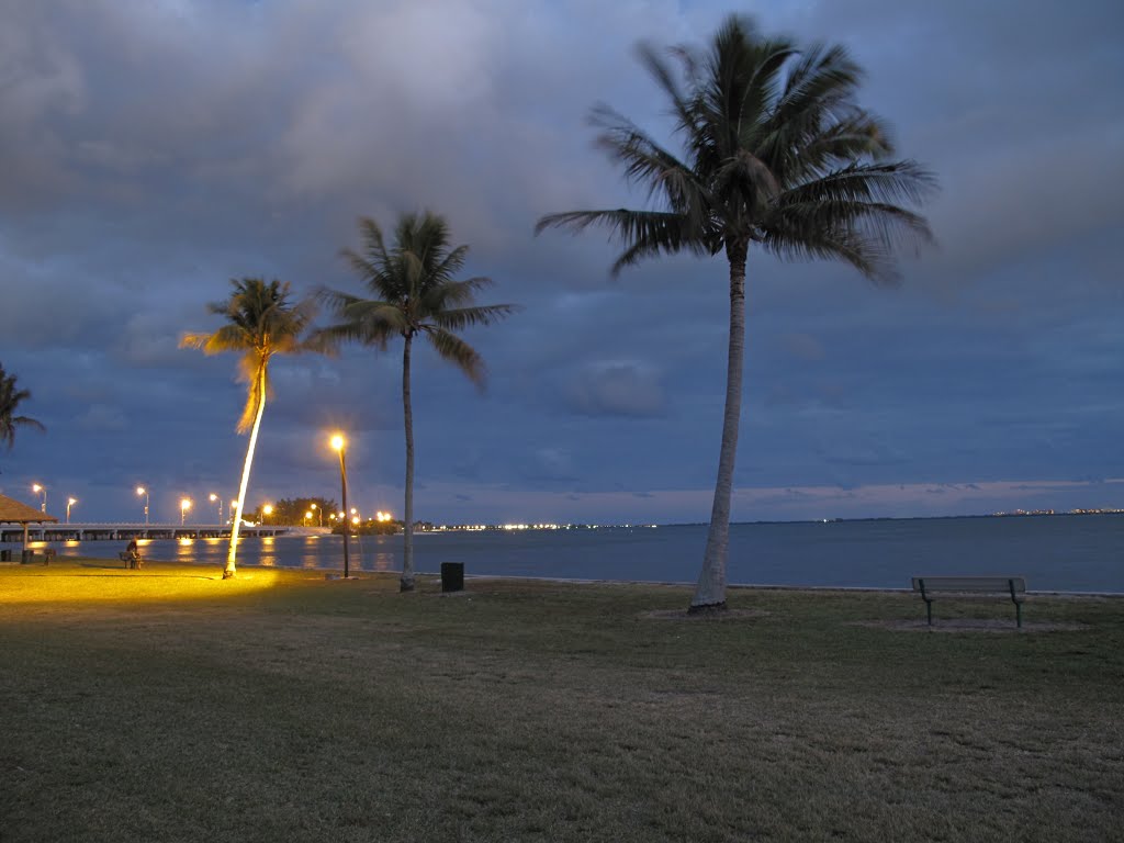 Northeast Coconut Grove, Miami, FL, USA by Emilio Portuondo