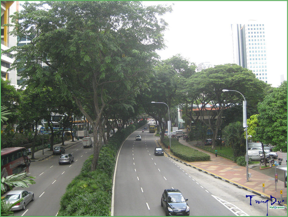 Beach road by Earth_Walker