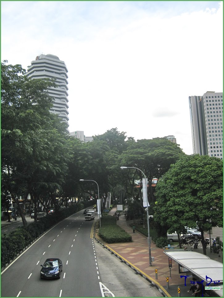 Beach road by Earth_Walker