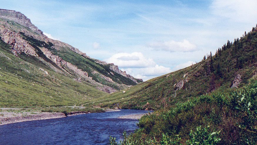 Savage River, Denali National Park, AK by Aknjp