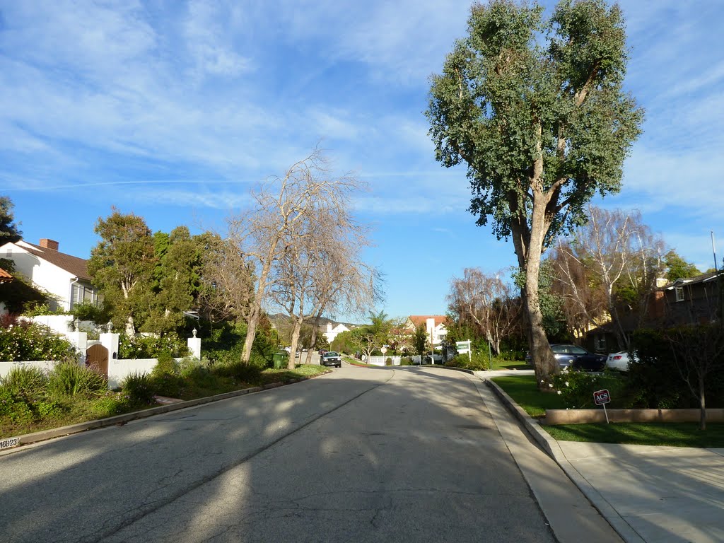 Marquez Knolls Landscape by Alan Fogelquist