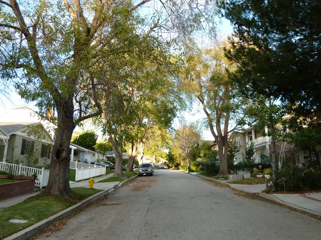 Marquez Knolls Landscape and Architecture by Alan Fogelquist