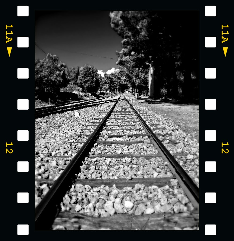 Movies of a railroad by Andrea Traversa