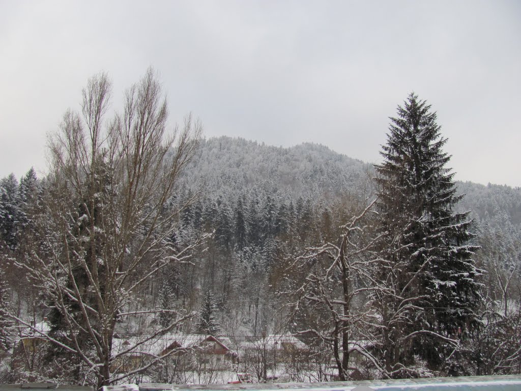 Băile Tușnad-Peisaj de iarnă-29Dec2010 by Popescu Vicentiu