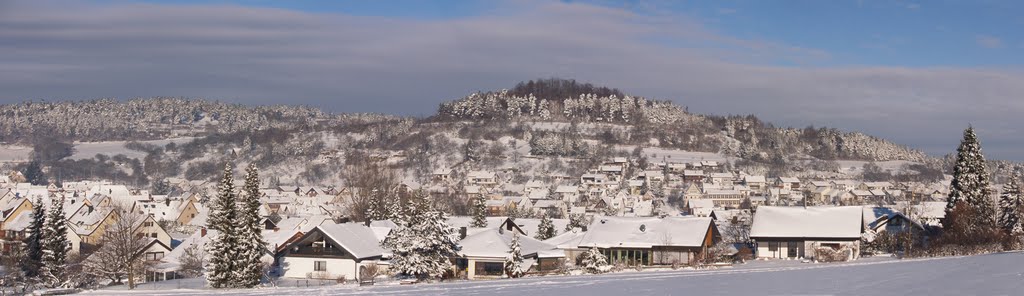 Panorama Münklingen Dezember 201012 by Rainer Warzecha