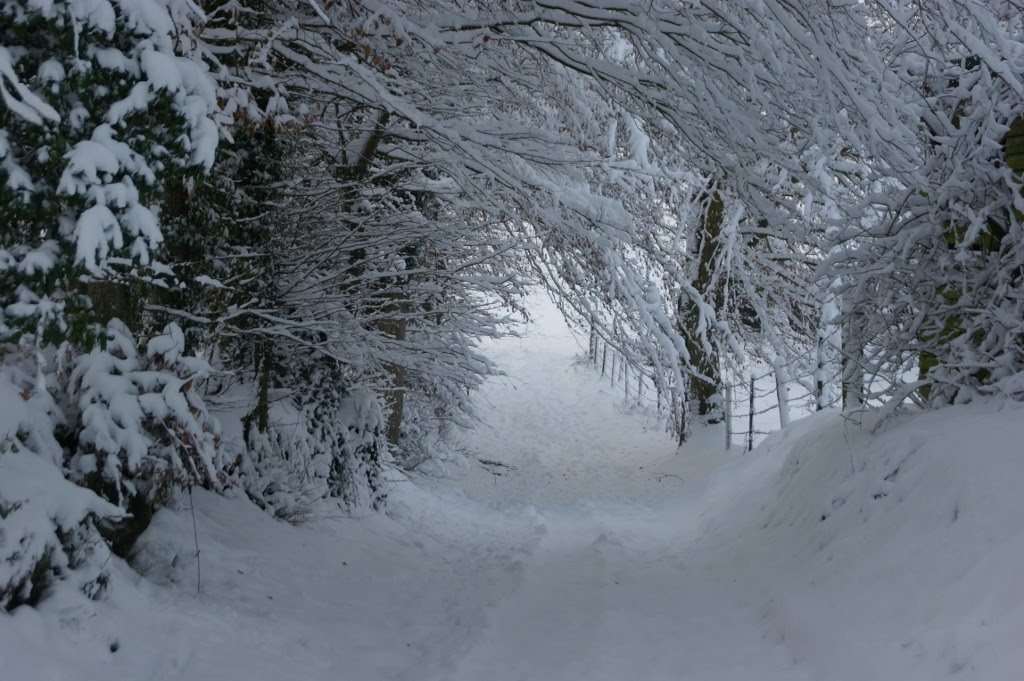 Route du Moulin glissante by Zjeeroom