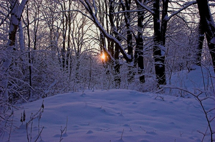 W Parku im. F. Chopina - At Chopin's Park (December 2010) by vryplej