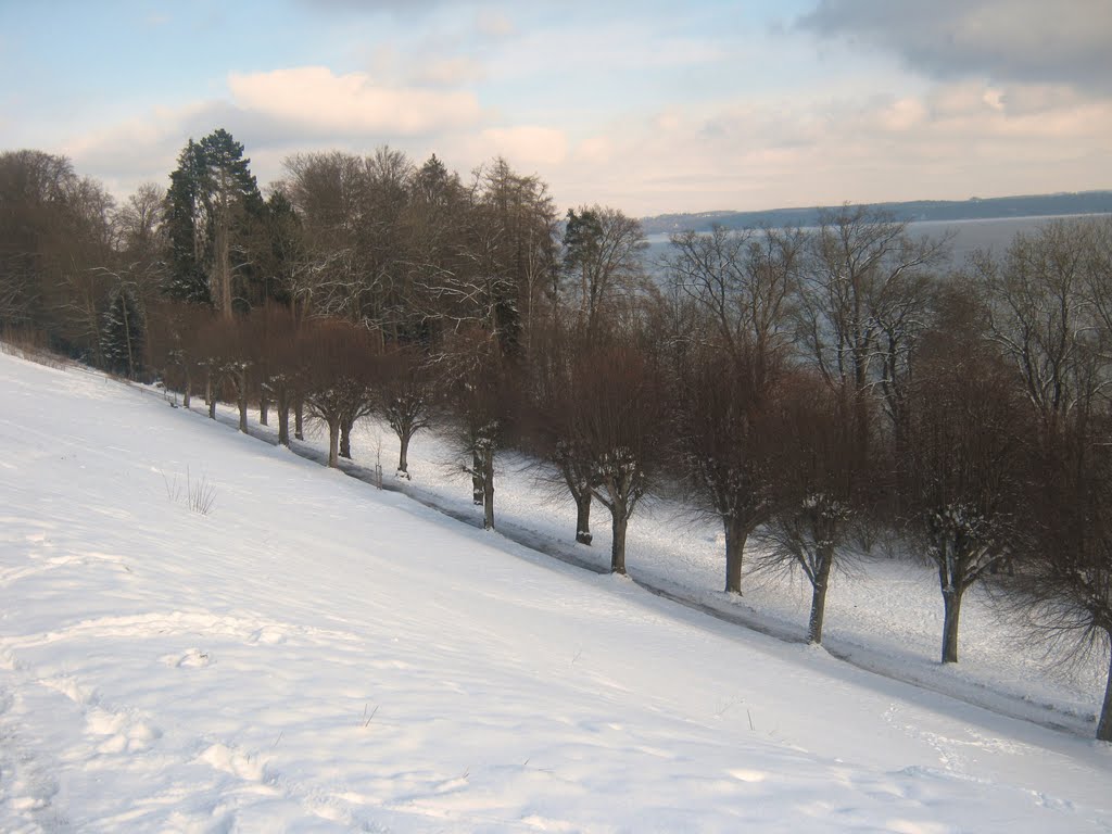 Allee im Schnee by Christoph Rohde