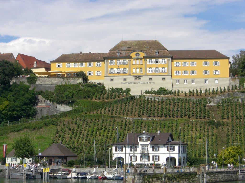 Weingut Meersburg by MikeyPassau