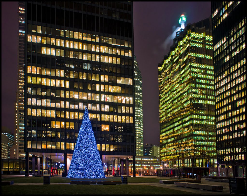 TD Centre Tree by Faryndale