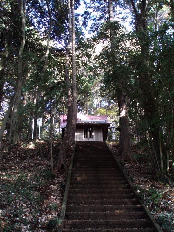 Itsukushima Shrine by Kiyoshi Fujimoto