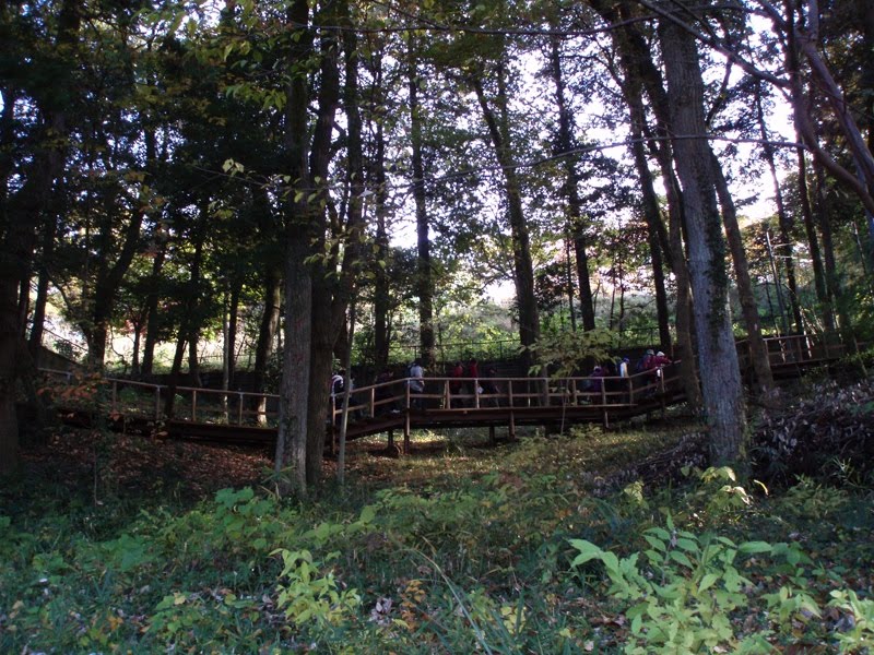 Sayama Green Park by Kiyoshi Fujimoto