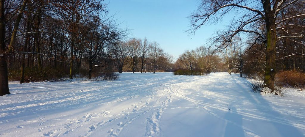 2010.12.04 - panoramic view north through the Tiergarten, Berlin by Alwyn Rh Joyce