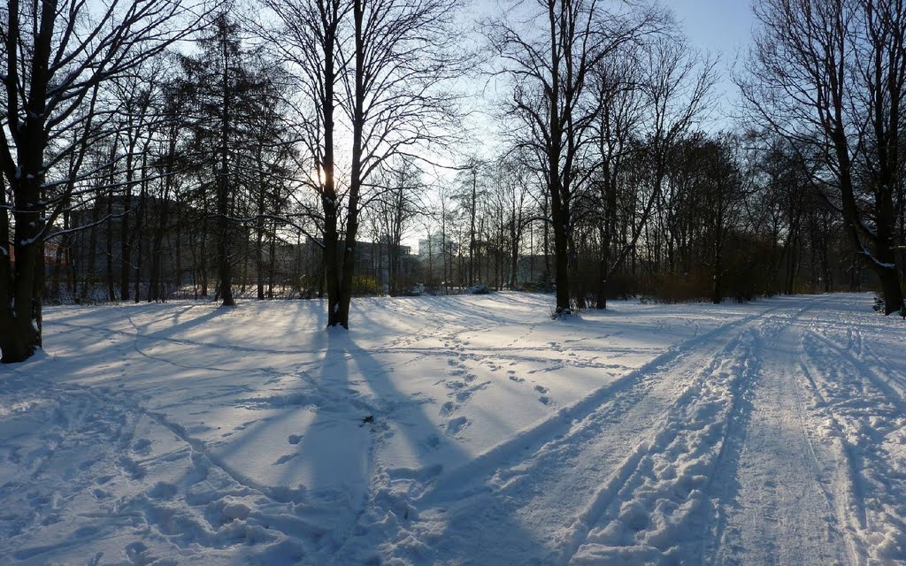 2010.12.04 - panoramic view south through the Tiergarten, Berlin by Alwyn Rh Joyce