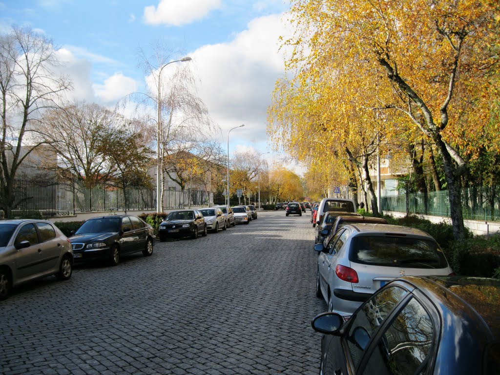 Avenida Infante D. Henrique by AJFAlmeida