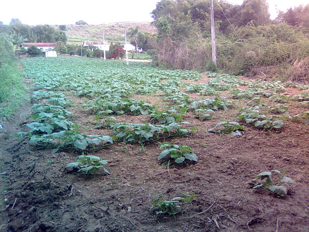 Lavrinha, Barbacena, MG, Brasil by Aislan WRM