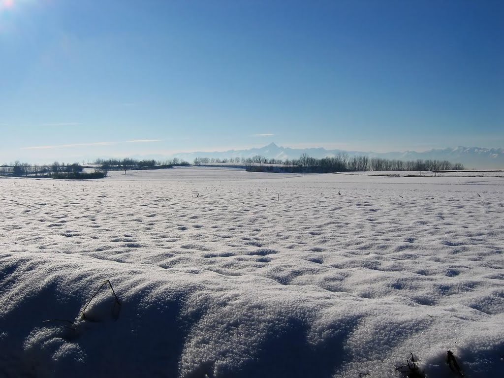 Vista verso il Monviso by Alessandro Bechis