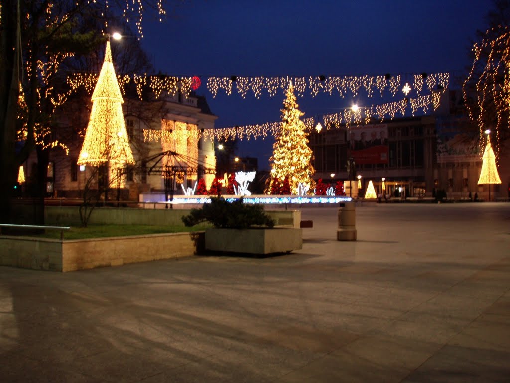 Centru, Pitești, Romania by Costel Munteanu