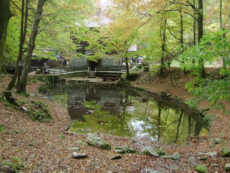 Kraljičin zdenac na Medvednici by sbrbot