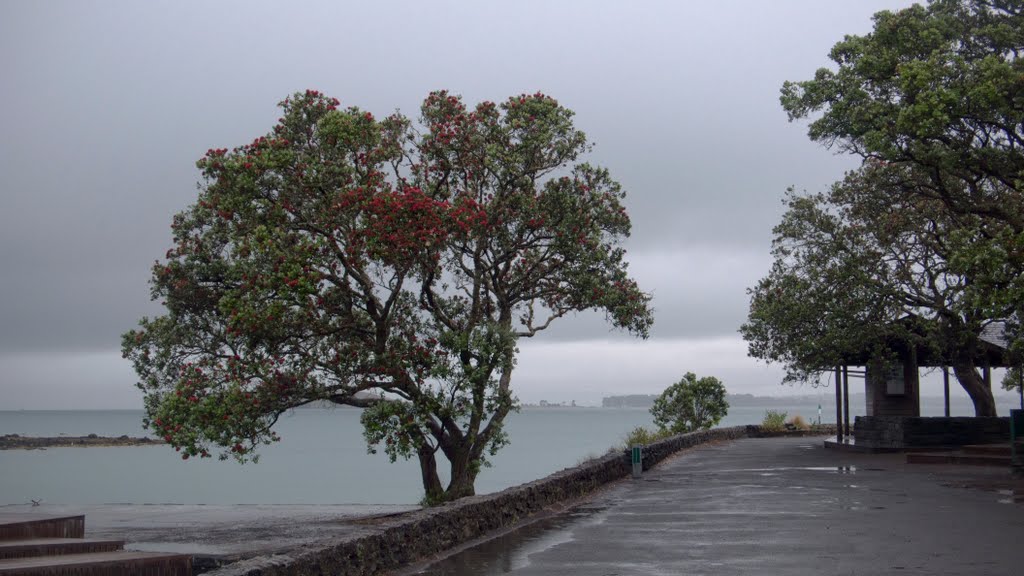 Wharf area at Rangitoto by Craig Shier