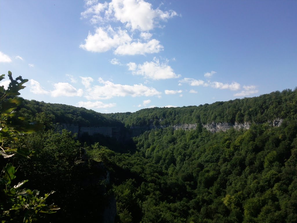 Gorge (Chassagne st denis) by mehdi25800