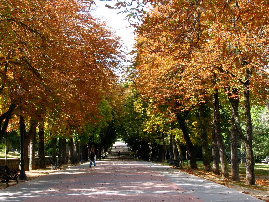 Parque de San Antonio en otoño by Carlos-Fernandez