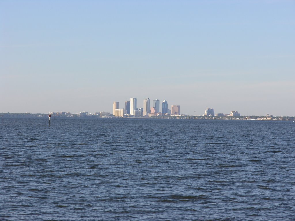 Tampa skyline across bay by duem2@aol.com