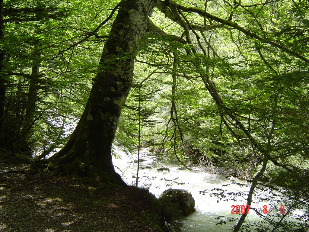 Bosque de Ordesa by aragorn0023