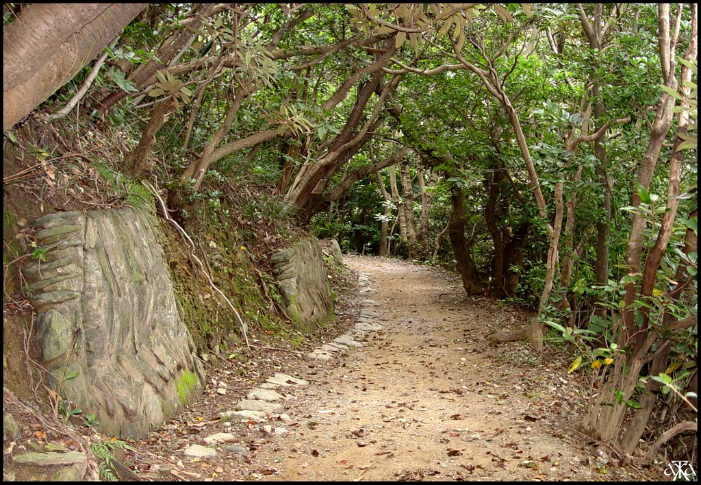 Trail to Land's end by André GARDELLA