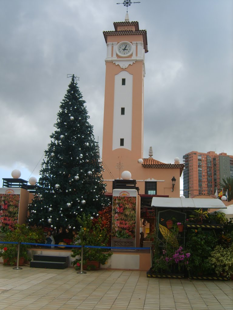 Mercado de nuestra sénora de africa, Santa Cruz - Ténérife - Canaries by morillon.daniel