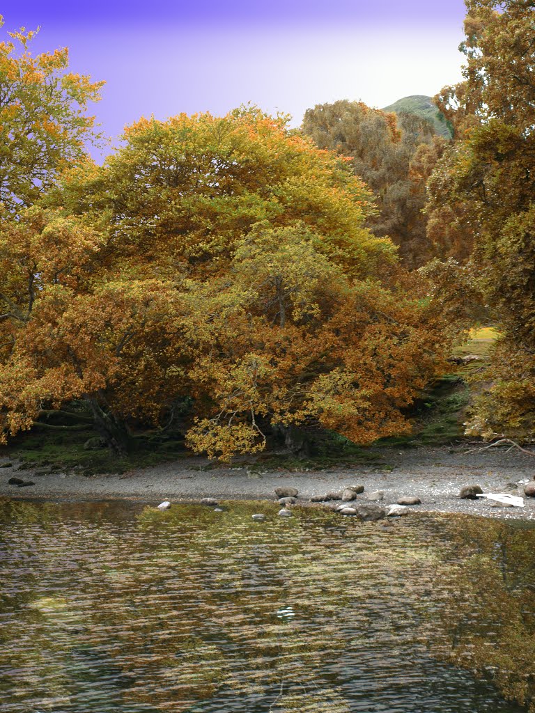 Near Hawse End. by Bob McCraight