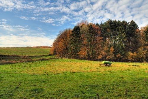 An der Düssel by Peter Czadek