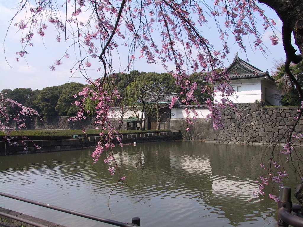 Tokyo - Imperial palace garden - East gate by Gabriele Bettega