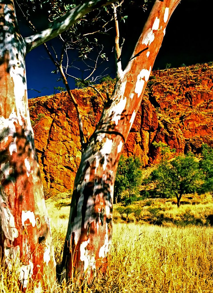 Desert Colours, Glen Helen Gorge by EyeMindSoul