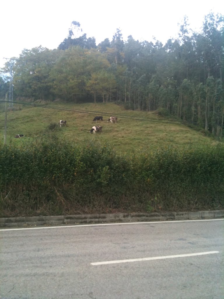 Hazas de Cesto, Cantabria, Spain by Trasmerano