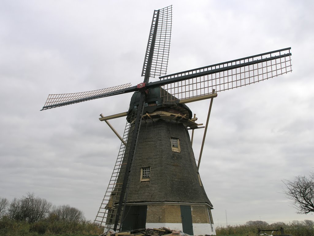 Hank Nederland - Zuidhollandse Molen by Frans van Unen