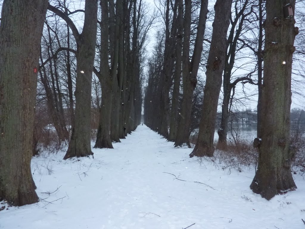 Eutin Denkergang by Jürgen Pries