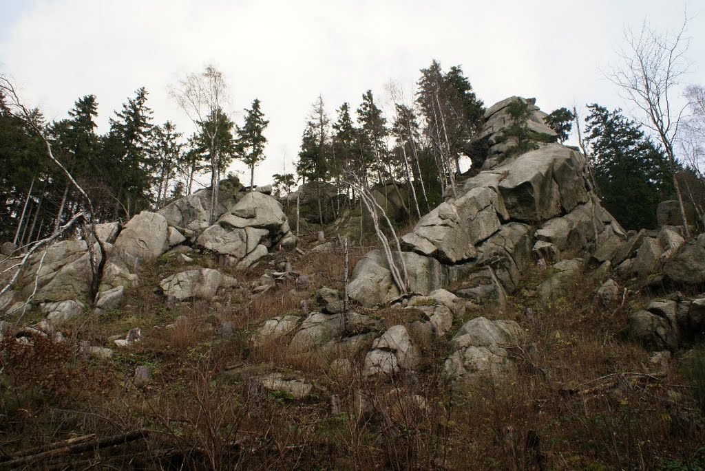 Am Mönch (Harz) by Atheistin