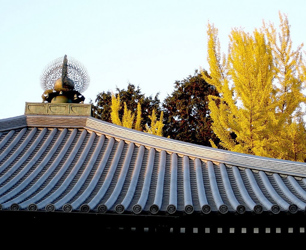 京都 醍醐寺 伝法學院 大講堂 Daigo-ji,Kyoto by Percy Tai  漆園童