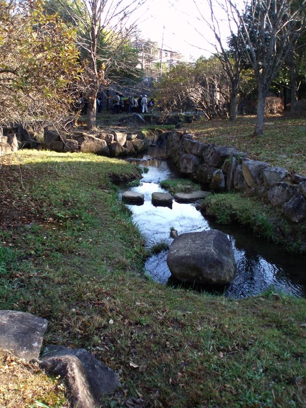 Kamiyato Park by Kiyoshi Fujimoto