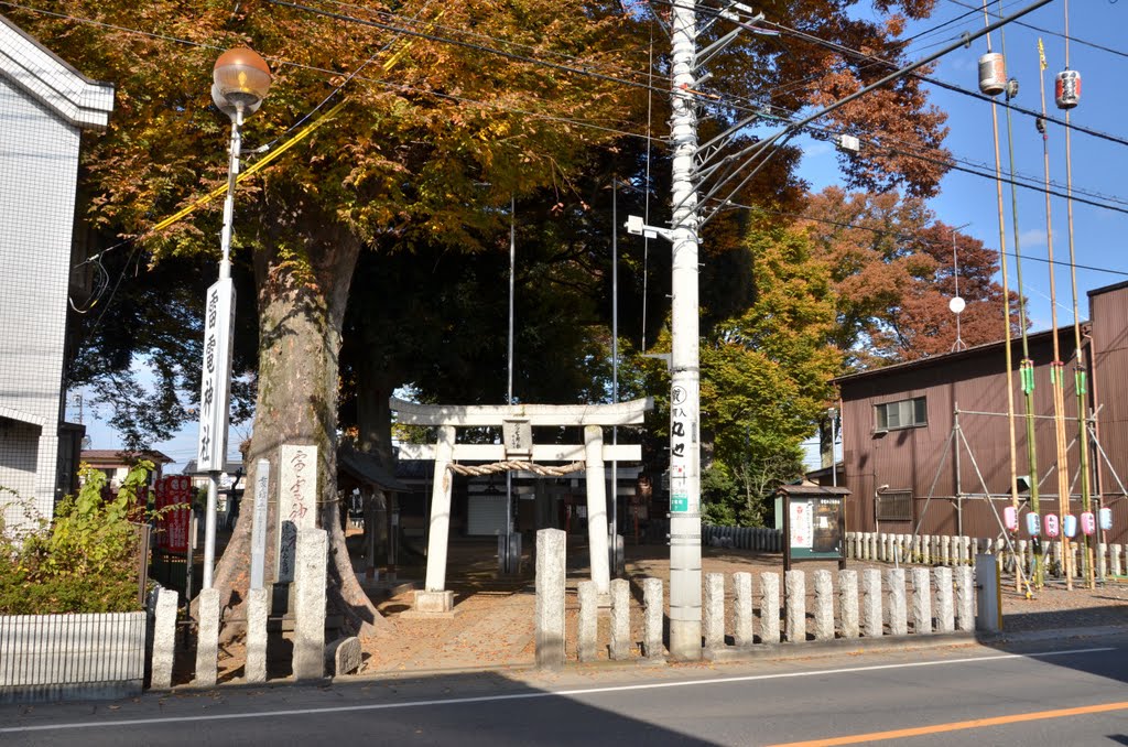 Raiden-Jinja 雷電神社 (2010.11.21) by k.takita