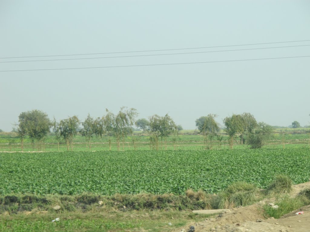 Hyderabad, Pakistan by Syed Irfan Ali Shah